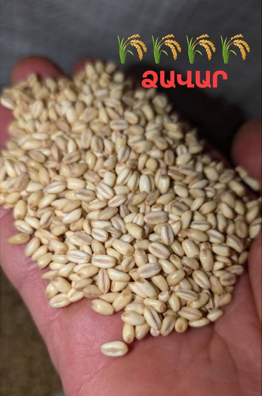 Ձավար